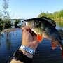 Vertion Real Skin(Slender Pointer 97) & big perch