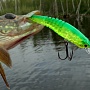 �������� ������� Live Pointer 80DD B-FREEZE Air Slash 80DD � ������