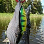 Real Bait 128SP. ���������� ��������, ��������� ����������� ��������.