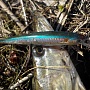 Slender Pointer 97MR