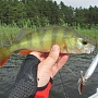 Blade Cross Bait 90 ��� �����