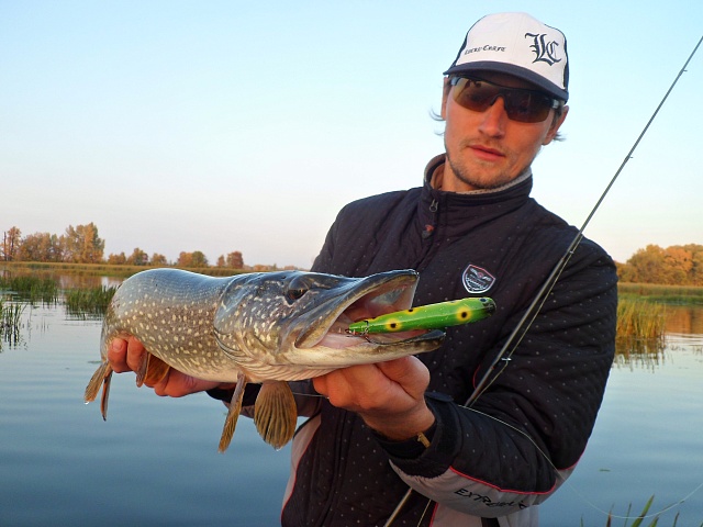 Gunfish 95 - 