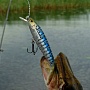Sasara Minnow � ����