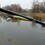 ������� Street Fishing